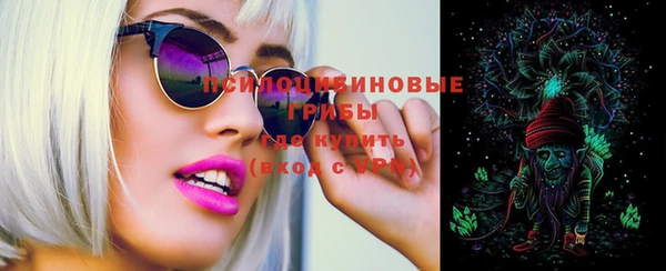 стаф Белокуриха