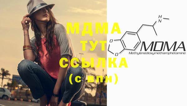 стаф Белокуриха