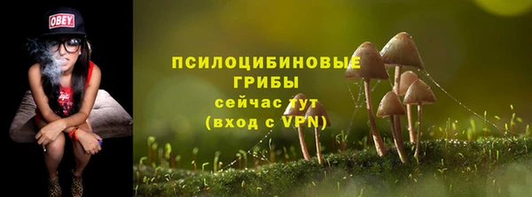 apvp Беломорск