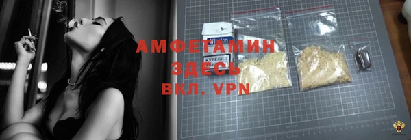 стаф Белокуриха