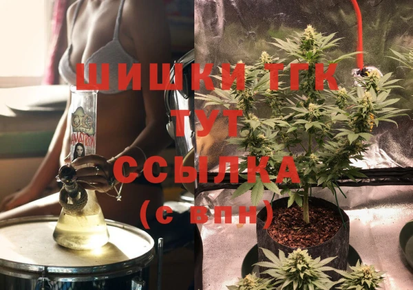 стаф Белокуриха