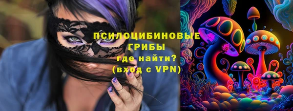 стаф Белокуриха